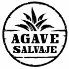 AGAVE SALVAJE