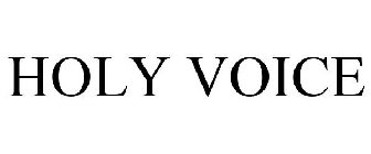 HOLY VOICE