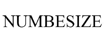 NUMBESIZE