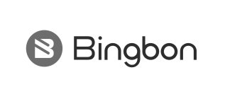 BINGBON