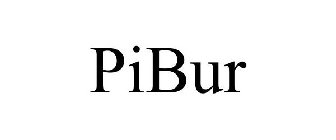 PIBUR