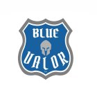 BLUE VALOR