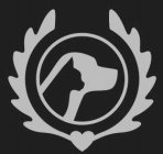 Image Trademark