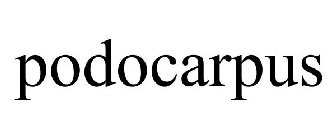 PODOCARPUS