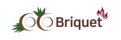 BRIQUET