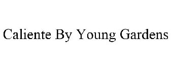 CALIENTE BY YOUNG GARDENS