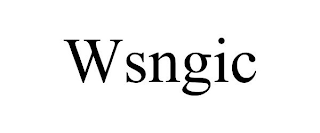 WSNGIC