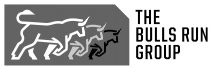 THE BULLS RUN GROUP