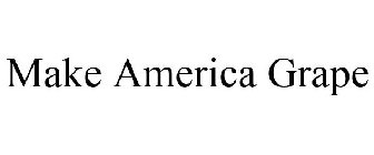 MAKE AMERICA GRAPE