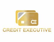 CREDIT EXECUTIVE