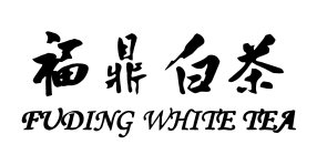 FUDING WHITE TEA