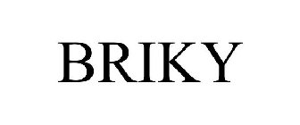 BRIKY