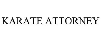 KARATE ATTORNEY