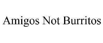 AMIGOS NOT BURRITOS