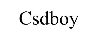 CSDBOY