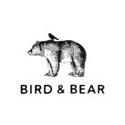 BIRD & BEAR