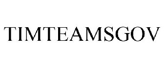 TIMTEAMSGOV