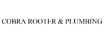 COBRA ROOTER & PLUMBING