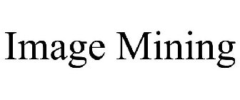 IMAGE MINING