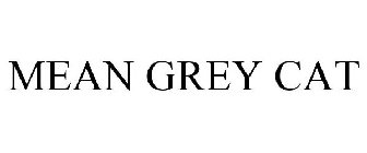 MEAN GREY CAT