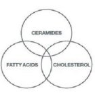 FATTY ACIDS CERAMIDES CHOLESTEROL
