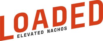 LOADED ELEVATED NACHOS