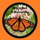 MILKWEED 4 MONARCHS