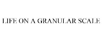 LIFE ON A GRANULAR SCALE