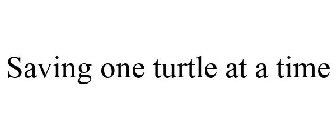 SAVING ONE TURTLE AT A TIME