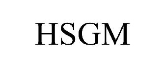 HSGM