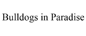 BULLDOGS IN PARADISE