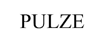 PULZE