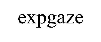 EXPGAZE