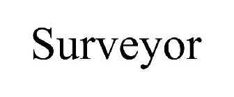 SURVEYOR