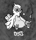 OBTS X X