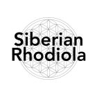 SIBERIAN RHODIOLA