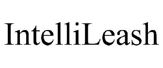INTELLILEASH