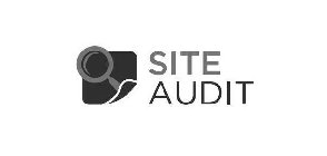 SITE AUDIT