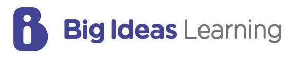 BI BIG IDEAS LEARNING