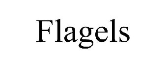 FLAGELS