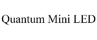 QUANTUM MINI LED