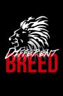 DIFFERENT BREED