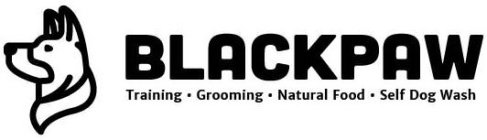 BLACKPAW TRAINING GROOMING NATURAL FOOD SELF DOG WASH