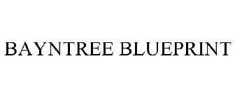 BAYNTREE BLUEPRINT
