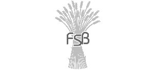 FSB