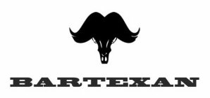 BAR TEXAN