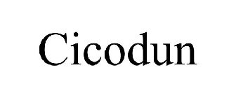 CICODUN