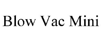 BLOW VAC MINI