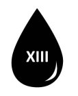XIII