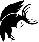 HORNED OWL APPAREL